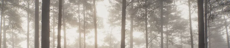 behang_foto_sfeer1920 behang_foto_sfeer1920